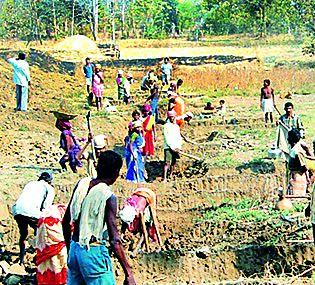 Rohoio spent 80 crores | रोहयोवर ८० कोटी खर्च Rohoio spent 80 crores | रोहयोवर ८० कोटी खर्च