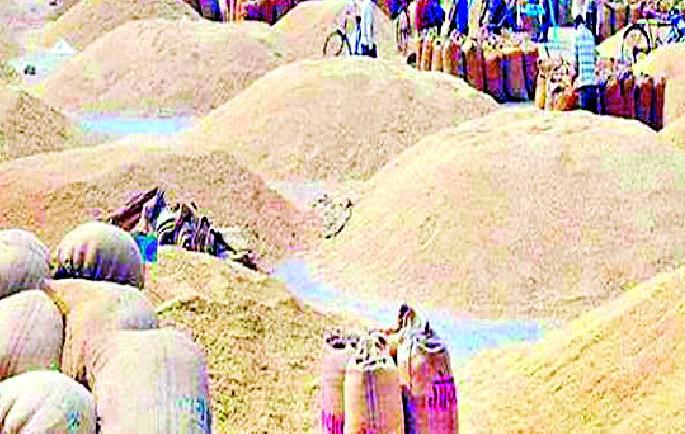 Immediately pay paddy bonus | तातडीने द्या धानाचे बोनस Immediately pay paddy bonus | तातडीने द्या धानाचे बोनस