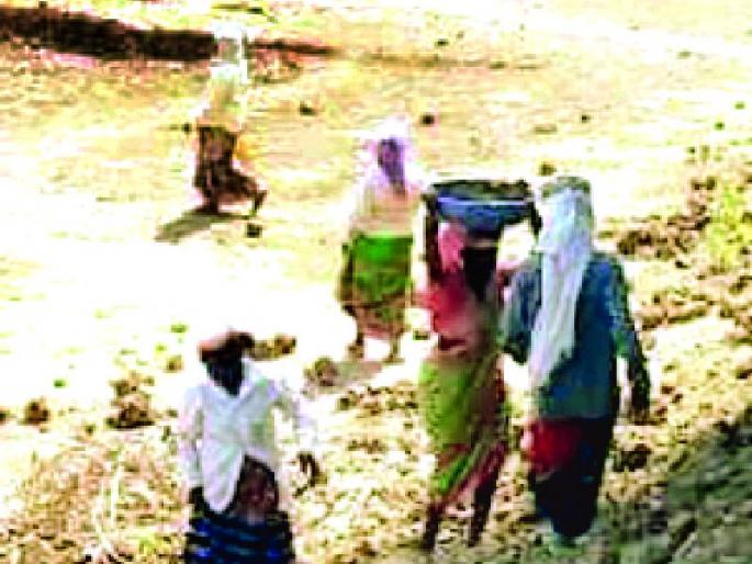 The administration has failed to hand over MGNREGA works to the workers | मजुरांच्या हाताला मनरेगाची कामे देण्यास प्रशासनाचा खो The administration has failed to hand over MGNREGA works to the workers | मजुरांच्या हाताला मनरेगाची कामे देण्यास प्रशासनाचा खो