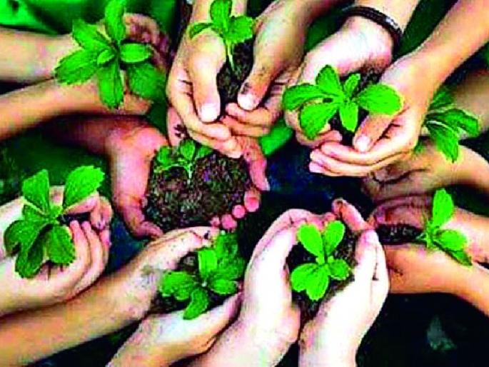 Target for 45 thousand cultivated plants | ४५ हजार वृक्ष लागवडीचे टार्गेट Target for 45 thousand cultivated plants | ४५ हजार वृक्ष लागवडीचे टार्गेट