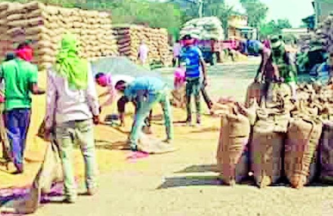 My parents government, legislate for the base price | मायबाप सरकार, आधारभूत किमतीसाठी कायदा करा