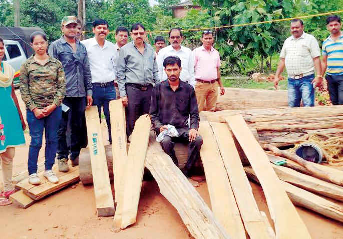 Illegal sewage chopped | अवैध सागवान चिरान जप्त Illegal sewage chopped | अवैध सागवान चिरान जप्त