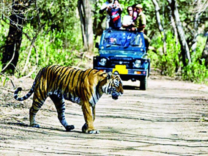 What to say, only one foreign tourist in 2 years | काय म्हणता, २ वर्षांत फक्त एकच विदेशी पर्यटक What to say, only one foreign tourist in 2 years | काय म्हणता, २ वर्षांत फक्त एकच विदेशी पर्यटक