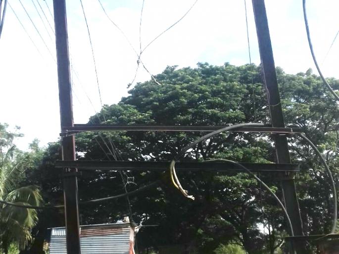 Satara: From the ten days of darkness to the eighteen phata village, the electricity stop is closed | सातारा : अठरा फाटा गाव दहा दिवसांपासून अंधारात, विद्युत रोहित्र बंद Satara: From the ten days of darkness to the eighteen phata village, the electricity stop is closed | सातारा : अठरा फाटा गाव दहा दिवसांपासून अंधारात, विद्युत रोहित्र बंद