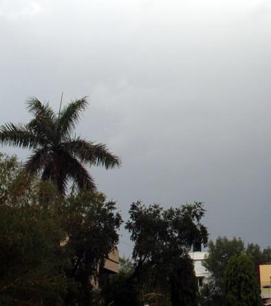Seed market watchers clouds with farmers | शेतकऱ्यांसह बियाणे बाजाराच्या नजरा ढगांकडे Seed market watchers clouds with farmers | शेतकऱ्यांसह बियाणे बाजाराच्या नजरा ढगांकडे