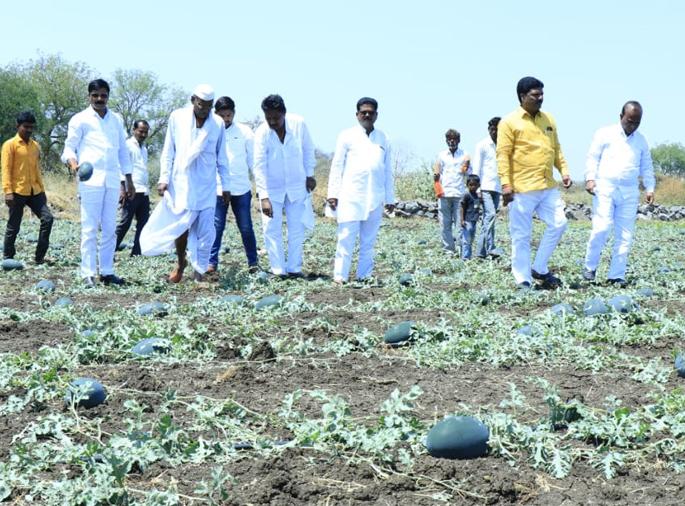Mantha taluka was hit by a hail | मंठा तालुक्याला गारपिटीने झोडपले Mantha taluka was hit by a hail | मंठा तालुक्याला गारपिटीने झोडपले