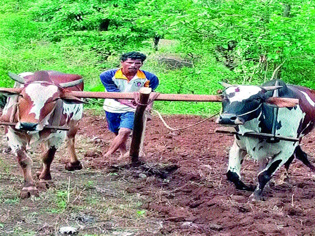 Concerns over kharif capital due to non-availability of peak loans | पीककर्ज मिळत नसल्याने खरिपाच्या भांडवलाची चिंता Concerns over kharif capital due to non-availability of peak loans | पीककर्ज मिळत नसल्याने खरिपाच्या भांडवलाची चिंता