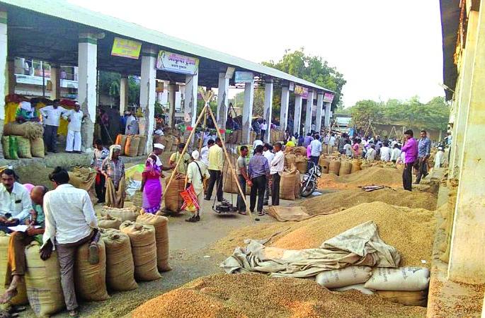 The tenure of the administrator is a problem for the farmers | प्रशासकाचा कार्यकाळ शेतकऱ्यांसाठी अडचणीचा The tenure of the administrator is a problem for the farmers | प्रशासकाचा कार्यकाळ शेतकऱ्यांसाठी अडचणीचा