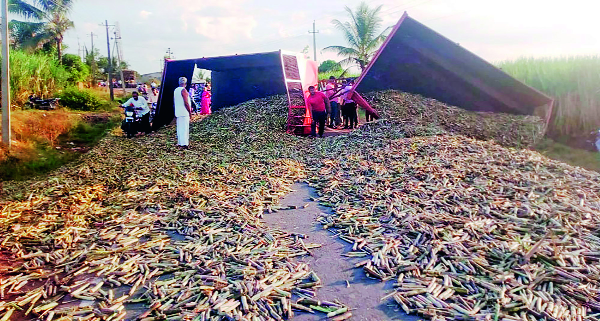 The sugarcane agitated over the border | सीमाभागात ऊस आंदोलन पेटले