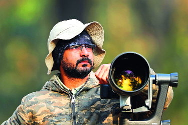 There is an increase in forest cover | वनखात्याचा वचक वाढायला हवा There is an increase in forest cover | वनखात्याचा वचक वाढायला हवा