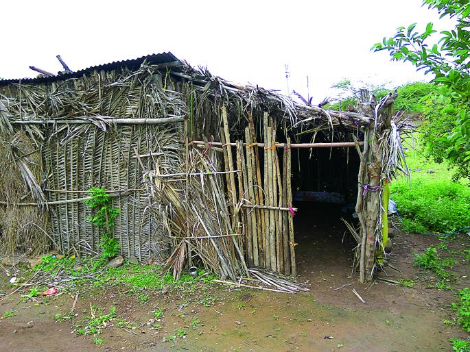 Unfinished siblings get human umbrella | निराधार भावंडांना मिळतेय माणुसकीचे छत्र Unfinished siblings get human umbrella | निराधार भावंडांना मिळतेय माणुसकीचे छत्र