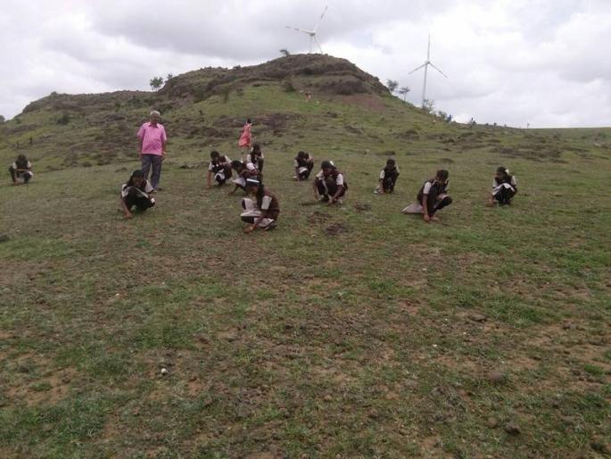 Five thousand seedlings planted in Shravani Sahali | श्रावणी सहलीमध्ये पाच हजार बियांचे रोपण Five thousand seedlings planted in Shravani Sahali | श्रावणी सहलीमध्ये पाच हजार बियांचे रोपण