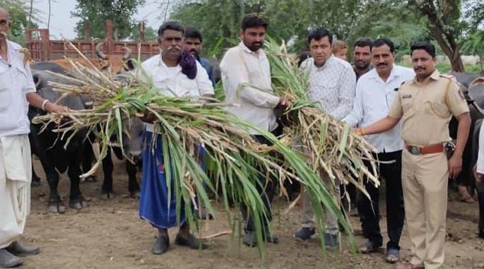 Distribution of 60 tonnes of fodder at Wadali | वडाळी येथे 60 टन चारा वाटप