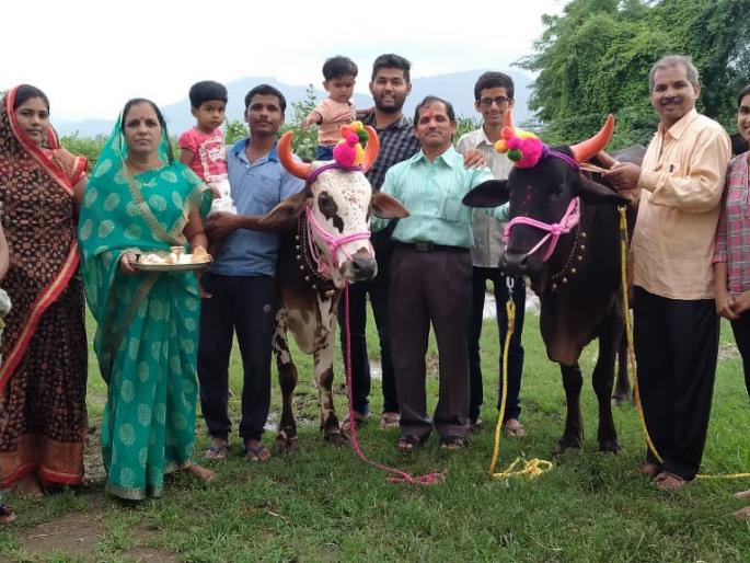 Hive festival is in full swing in Pilkos area | पिळकोस परिसरात पोळा हा सण उत्साहात