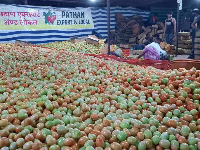 The redness of the tomatoes faded | टोमॅटोची लाली ओसरली