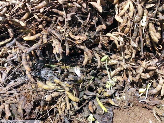 Parbhani: Demand of 5 crores; Received Rs 5.5 crore | परभणी : मागणी ३१२ कोटींची; मिळाले ८७.६२ कोटी रुपये Parbhani: Demand of 5 crores; Received Rs 5.5 crore | परभणी : मागणी ३१२ कोटींची; मिळाले ८७.६२ कोटी रुपये