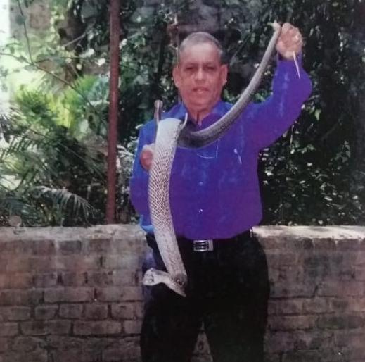 Corona, during the lockdown, increased the incidence of snake bites | कोरोना, लॉकडाऊनच्या काळात सर्प आढळण्याच्या घटनांत वाढ झाली Corona, during the lockdown, increased the incidence of snake bites | कोरोना, लॉकडाऊनच्या काळात सर्प आढळण्याच्या घटनांत वाढ झाली