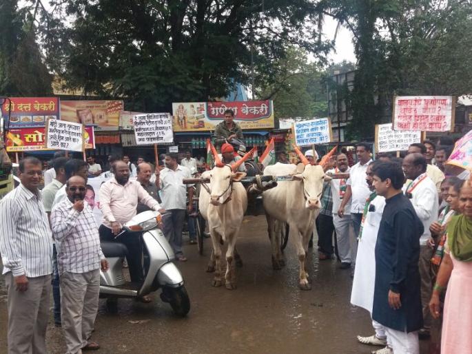 Congolese ballagadi front of Congress | कॉंग्रेसचा सांगलीत बैलगाडी मोर्चा Congolese ballagadi front of Congress | कॉंग्रेसचा सांगलीत बैलगाडी मोर्चा