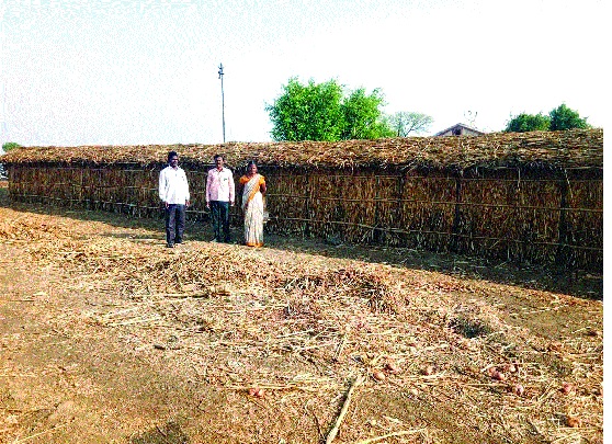 Many drought-hit villages have become rich: summer crops worth croaking rupees | अनेक दुष्काळी गावं बनली श्रीमंत : कोट्यवधी रुपयांची उन्हाळी पिकं हाती Many drought-hit villages have become rich: summer crops worth croaking rupees | अनेक दुष्काळी गावं बनली श्रीमंत : कोट्यवधी रुपयांची उन्हाळी पिकं हाती