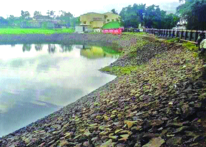 For the sake of palm; Hurdles seventeen sixty | तळी भरमसाठ; अडथळे सतराशे साठ