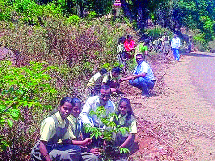 Tigress for the tree! | चिमुकल्यांना वृक्षसंवर्धनाचा ध्यास! Tigress for the tree! | चिमुकल्यांना वृक्षसंवर्धनाचा ध्यास!