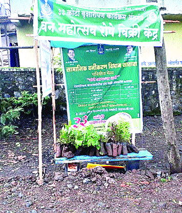 43 species of seedlings in your arid valley ...! | मेढ्यात ४३ जातींची रोपे आपल्या दारी...!