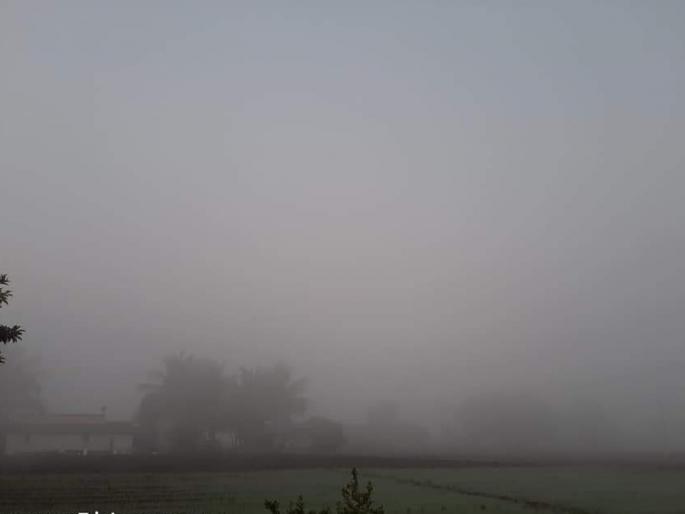  Niphad mercury at 4 degrees! | निफाडचा पारा १० अंशांवर !