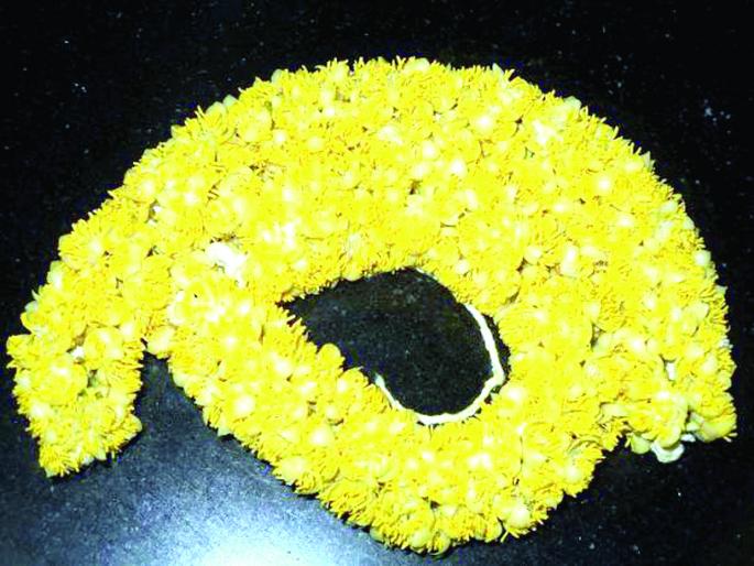 Sindhudurg: The demand of the businessmen to reduce the cost of the train to the sub-market | सिंधुदुर्ग : सुरंगकळीला बाजारभाव कमी, जादा भाव देण्याची व्यावसायिकांची मागणी Sindhudurg: The demand of the businessmen to reduce the cost of the train to the sub-market | सिंधुदुर्ग : सुरंगकळीला बाजारभाव कमी, जादा भाव देण्याची व्यावसायिकांची मागणी