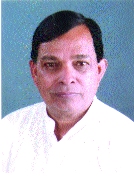 On December 22, the Rural Literary Meet | आळसंदला २२ रोजी ग्रामीण साहित्य संमेलन