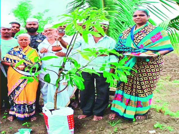 Planting done in the field without dismembering the mother,junnar taluka idol incident | आईच्या अस्थी विसर्जन न करता शेतातच ठेवून केले वृक्षारोपण; जुन्नर तालुक्यातील आदर्श उपक्रम Planting done in the field without dismembering the mother,junnar taluka idol incident | आईच्या अस्थी विसर्जन न करता शेतातच ठेवून केले वृक्षारोपण; जुन्नर तालुक्यातील आदर्श उपक्रम