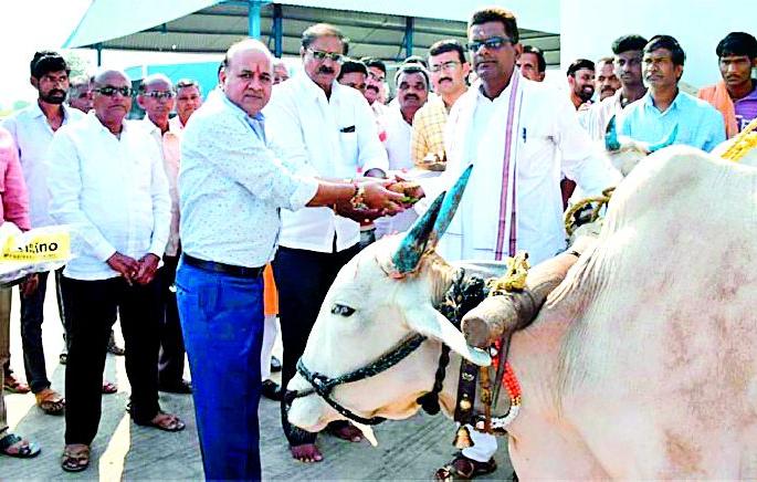 Rs 5581 in the deodhit cotton cotton season | देवळीत कापसाला ५५८१ रूपये भाव