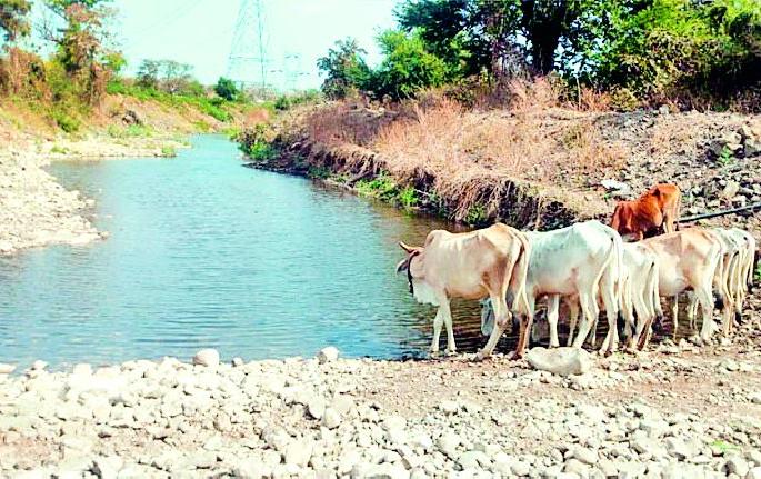 Ground water shortage in Karanja taluka | कारंजा तालुक्यात भीषण पाणीटंचाई