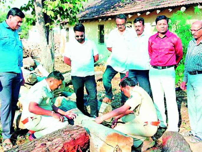 Tree - | चर्मालयातील वृक्षतोड; वनगुन्हा दाखल Tree - | चर्मालयातील वृक्षतोड; वनगुन्हा दाखल