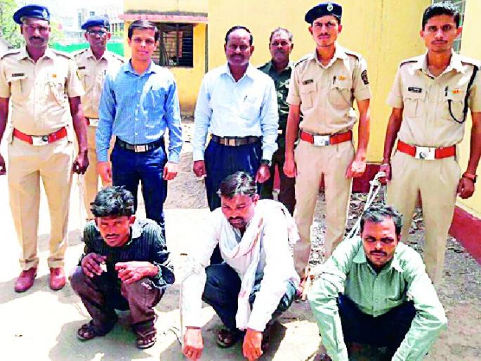 Attempted accused in the case of deer hunting | हरीण शिकार प्रकरणातील आरोपी अटकेत Attempted accused in the case of deer hunting | हरीण शिकार प्रकरणातील आरोपी अटकेत
