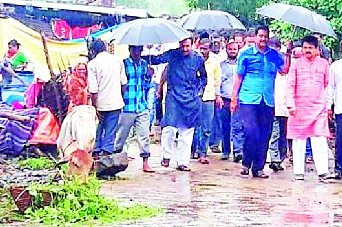 Demand for Tiger rehabilitation | तिवरंगच्या पुनर्वसनाची मागणी धूळखात Demand for Tiger rehabilitation | तिवरंगच्या पुनर्वसनाची मागणी धूळखात