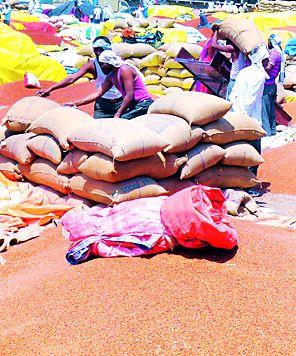 34 crores of rupees were stuck | ३४ कोटींचे चुकारे अडले 34 crores of rupees were stuck | ३४ कोटींचे चुकारे अडले