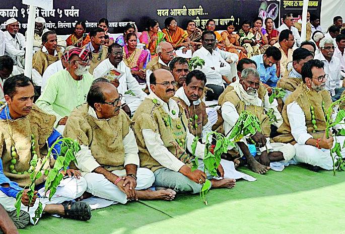 The government's protests overcrowd | बेशरम उंचावून सरकारचा निषेध