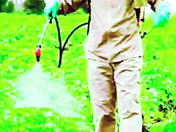 Alert the system on poisoning by spraying pesticides | कीटकनाशक फवारणीतून विषबाधेवर यंत्रणा सतर्क Alert the system on poisoning by spraying pesticides | कीटकनाशक फवारणीतून विषबाधेवर यंत्रणा सतर्क