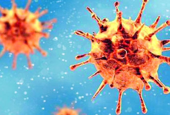 The height of the corona victims; 37 carried, 810 chased | कोरोना बळींचा उच्चांक; 37 जण नेले, 810 पछाडले The height of the corona victims; 37 carried, 810 chased | कोरोना बळींचा उच्चांक; 37 जण नेले, 810 पछाडले