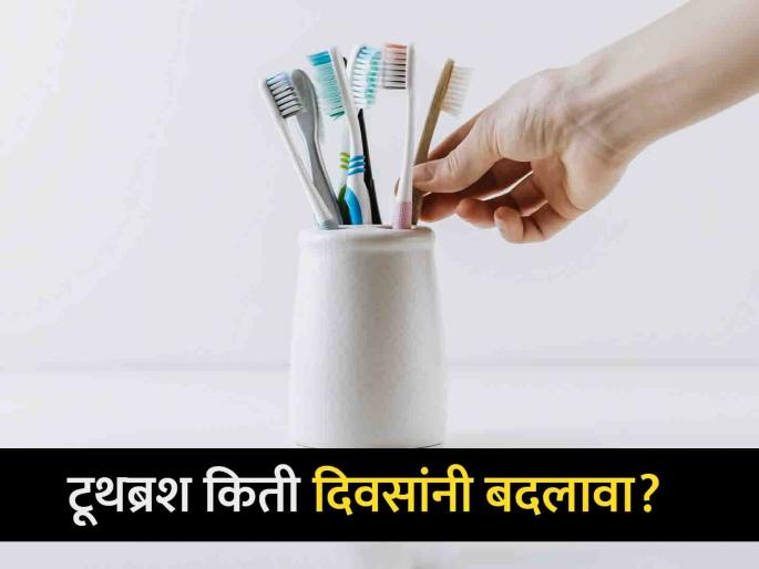 When you should change your toothbrush? | कसं ओळखाल आता टूथब्रश बदलण्याची आली आहे वेळ? योग्य टूथब्रश कसा निवडाल? When you should change your toothbrush? | कसं ओळखाल आता टूथब्रश बदलण्याची आली आहे वेळ? योग्य टूथब्रश कसा निवडाल?
