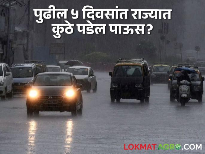 Maharashtra Rain Updates Where will it rain in next 5 days in the state? What are weather warnings? | Maharashtra Rain Updates : राज्यात पुढील 5 दिवसांत कुठे पडणार पाऊस? काय आहेत हवामानाचे इशारे? Maharashtra Rain Updates Where will it rain in next 5 days in the state? What are weather warnings? | Maharashtra Rain Updates : राज्यात पुढील 5 दिवसांत कुठे पडणार पाऊस? काय आहेत हवामानाचे इशारे?