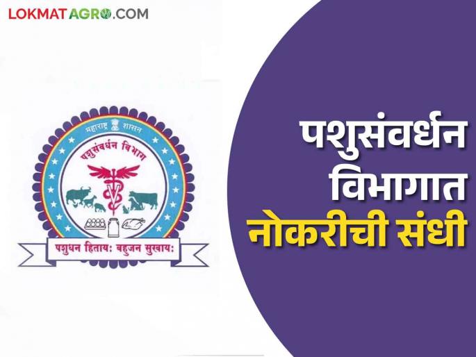 Government Job: Job Opportunity in Animal Husbandry Department, 12th Pass, Graduates Preference, Know Selection Process.. | Government Job: पशुसंवर्धन विभागात नोकरीची संधी, बारावी उत्तीर्ण, पदवीधरांना प्राधान्य, जाणून घ्या निवडप्रक्रीया.. Government Job: Job Opportunity in Animal Husbandry Department, 12th Pass, Graduates Preference, Know Selection Process.. | Government Job: पशुसंवर्धन विभागात नोकरीची संधी, बारावी उत्तीर्ण, पदवीधरांना प्राधान्य, जाणून घ्या निवडप्रक्रीया..