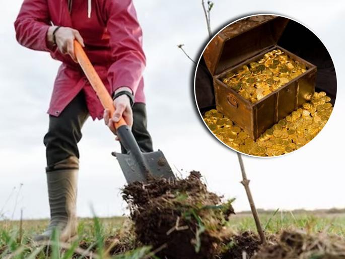 Man won lottery worth 6 crore bought land again Found buried treasure | आधी लागली 6 कोटी रूपयांची लॉटरी, त्यातून खरेदी केलं शेत; शेतातही सापडलं मोठं धन Man won lottery worth 6 crore bought land again Found buried treasure | आधी लागली 6 कोटी रूपयांची लॉटरी, त्यातून खरेदी केलं शेत; शेतातही सापडलं मोठं धन