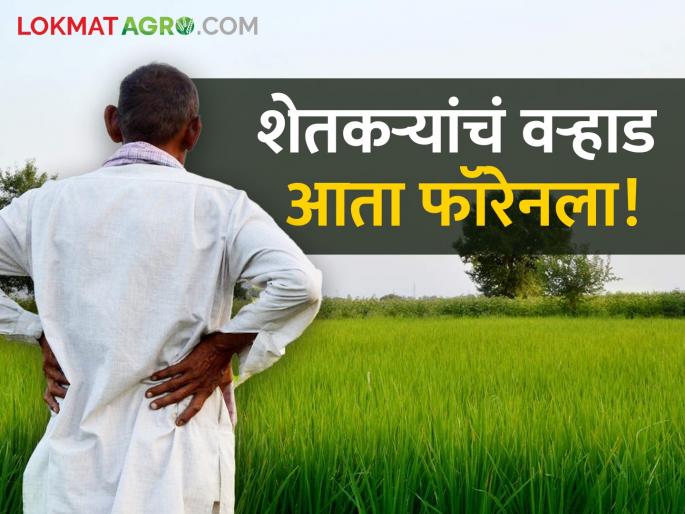 Farmers will go abroad, apply immediately | शेतकऱ्यांचे वऱ्हाड निघणार फॉरेनला, लगेच अर्ज करा.. Farmers will go abroad, apply immediately | शेतकऱ्यांचे वऱ्हाड निघणार फॉरेनला, लगेच अर्ज करा..