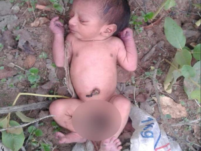 How do you say ma The living infant is thrown into the trash | तुला आई कसं म्हणू? जिवंत नवजात शिशुला कचऱ्यात फेकले