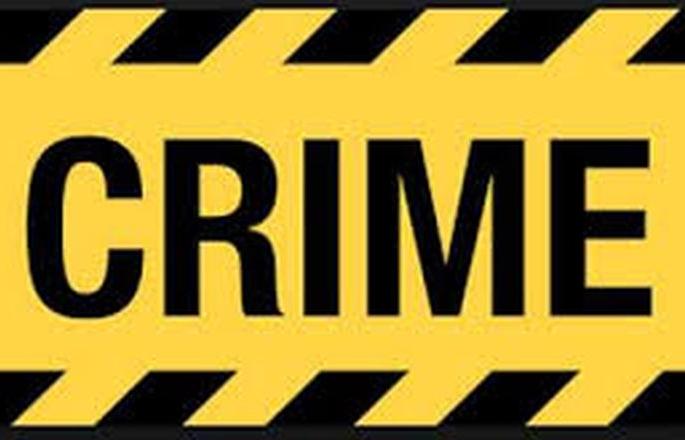 Vehicles transporting cattle were caught at Hadakhed check post in Shirpur taluka | शिरपूर तालुक्यातील हाडाखेड तपासणी नाक्यावर गुरांची वाहतूक करणारे वाहन पकडले