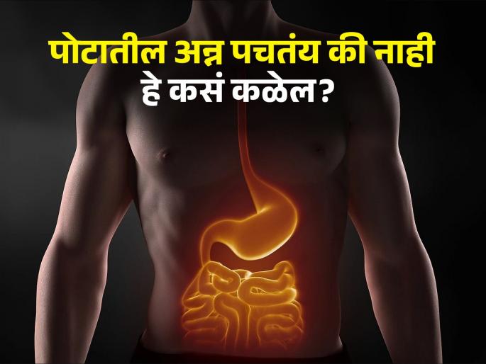 Health Tips : How do you know your digestive system healthy, you should know this | आपण खाल्लेलं अन्न पोटात पचतंय की सडतंय हे कसं कळेल? जाणून घ्या...