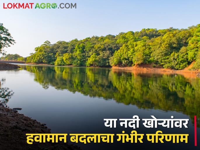 Climate change will have a serious impact on these rivers in India, says the report... | हवामान बदलाचा भारतातील या नद्यांवर गंभीर परिणाम होणार, या अहवालात... Climate change will have a serious impact on these rivers in India, says the report... | हवामान बदलाचा भारतातील या नद्यांवर गंभीर परिणाम होणार, या अहवालात...