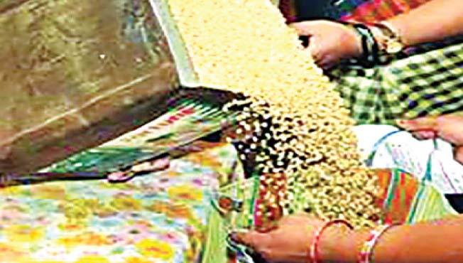 Coronavirus: 'Grain gang' threatens institutions! The right steps need to be taken | Coronavirus: ‘धान्य टोळी’चा संस्थांना धसका! योग्य ती पावले उचलण्याची गरज