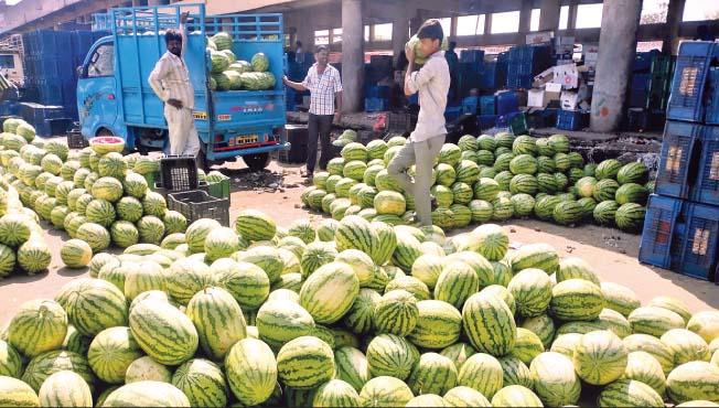 Lockdown News: A woman farmer from Wadya set up her own stall and sold watermelons | Lockdown News: वाड्यातील महिला शेतकऱ्याने स्वत:च स्टॉल लावून केली कलिंगडांची विक्री Lockdown News: A woman farmer from Wadya set up her own stall and sold watermelons | Lockdown News: वाड्यातील महिला शेतकऱ्याने स्वत:च स्टॉल लावून केली कलिंगडांची विक्री